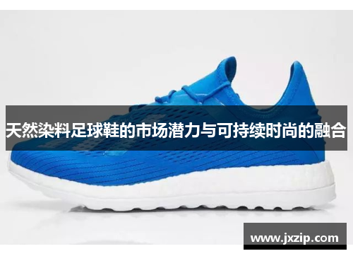 天然染料足球鞋的市场潜力与可持续时尚的融合