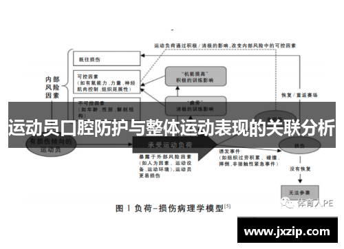 运动员口腔防护与整体运动表现的关联分析
